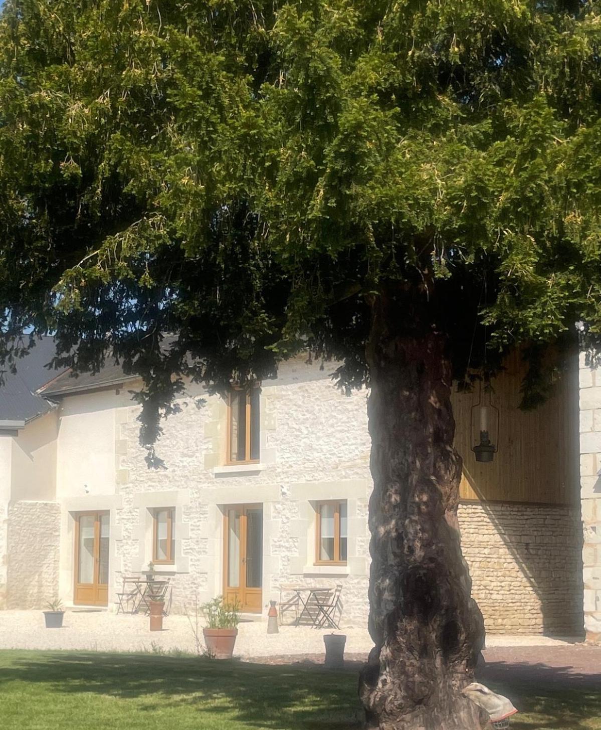 Apartment Les Pieces Du Moulin Angliers (Vienne)